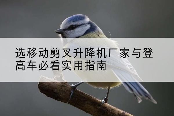 贵州电动升降机厂家-选移动剪叉升降机厂家与登高车必看实用指南