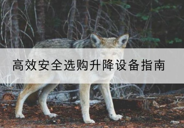 贵州升降货梯厂家推荐-*安全选购升降设备指南