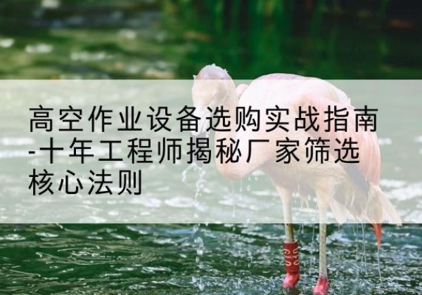 贵州剪叉式升降机厂家-高空作业设备选购实战指南-十年工程师揭秘厂家筛选核心法则